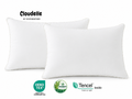 Cloudelle